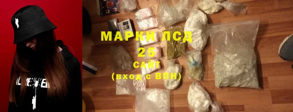 сатива Беломорск