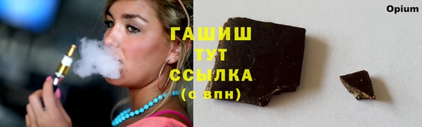 сатива Беломорск