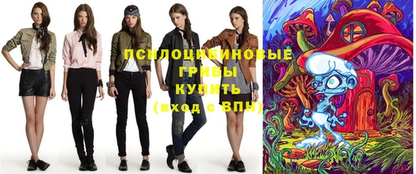 mix Белокуриха
