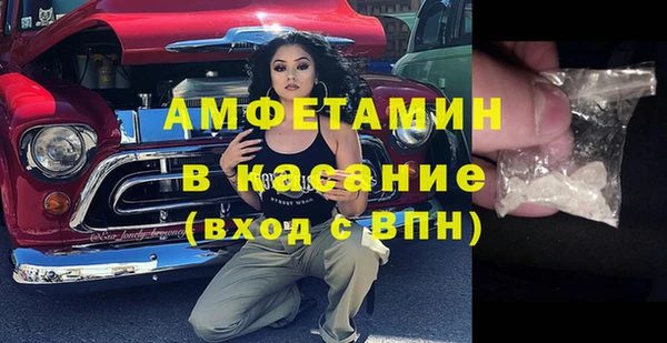 сатива Беломорск