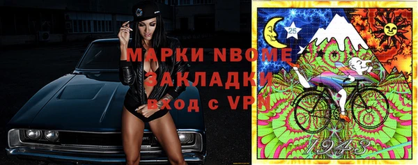 2c-b Бородино