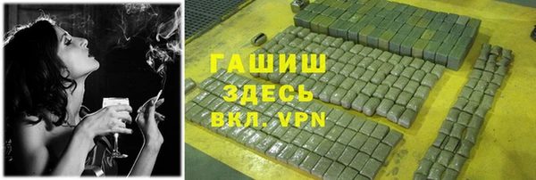 сатива Беломорск