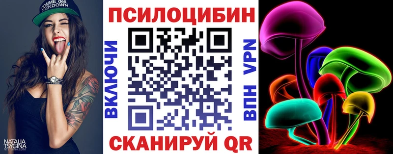 дарнет шоп  Острогожск  Псилоцибиновые грибы Psilocybine cubensis 